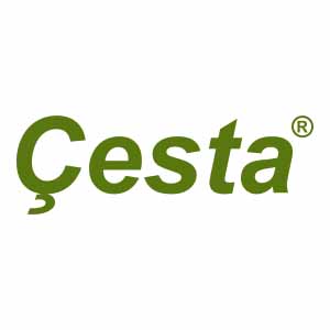 Cesta