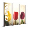 Centro_Window3