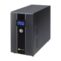 Newtech-Pro-3-kVA-Online